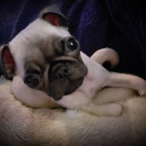 Meet your Posher, Kassidy